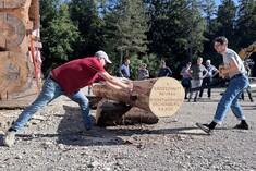 Start of construction for the forestry yard on the Eschenberg