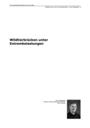 Wildlife bridges under extreme loads